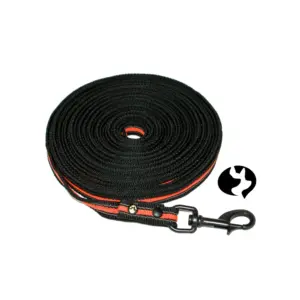10m gummierte Gurtband-Leine in 20mm mit schwarzem Edelstahl - Produktbild