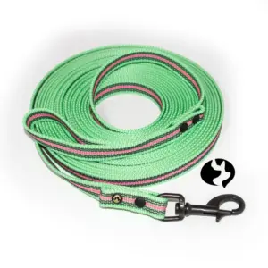 10m gummierte Gurtband-Leine in 20mm mit Edelstahl & Schlaufe - Produktbild