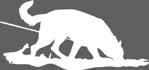 Silhouette von Düse beim Fährten