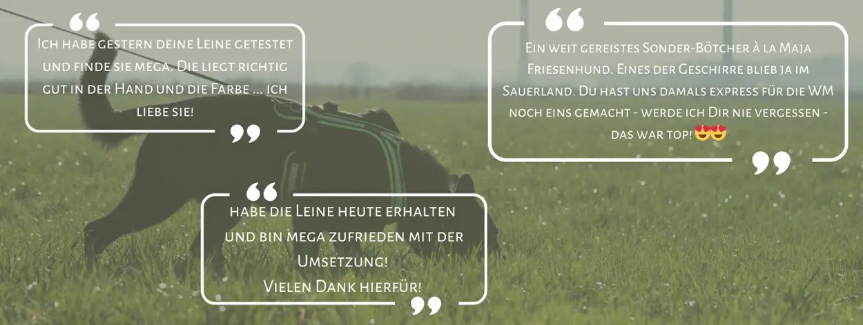 Testimonials meiner Kunden Kundenbewertungen für Friesenhund by Maja Röll